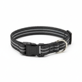 Adjustable Dog Collar